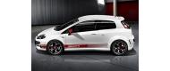 Punto Evo