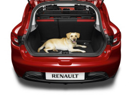 8201723244 Renault Captur 2020 - .. hondenrek