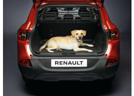 Renault Kadjar scheidingsrek 8201598451