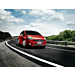 Fiat Grande Punto sport grille verchroomd