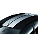Ford Focus (01/2008 - 12/2010) hatchback GT roof stripe kit zilverkleurig