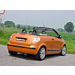 Musketier Citroën C3 Pluriel einddemper rvs 1xØ90 mm