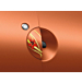 Renault Twingo 2007 - 2014 door handle sticker poppy