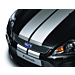 Ford Focus (01/2008 - 12/2010) GT-Stripingset voor motorkap, zilverkleurig