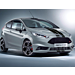 Ford Fiesta (11/2012 - 06/2017) Herpa Print Racing strepen glanzend zwart