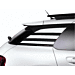Citroën C4 Cactus stickerset 'Stripe'