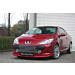 Musketier Peugeot 307 (2005 - 2009) grille chroom