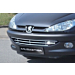 Musketier Peugeot 206 rvs grille, verchroomd (voor kleine standaard grille)