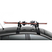 Renault ski carrier for 4 ski Renault ski carrier for 4 ski