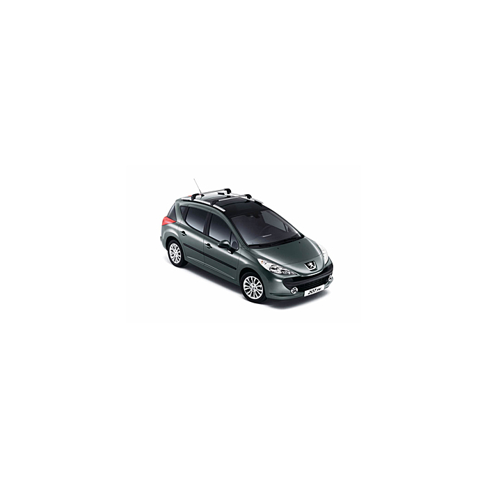 Peugeot 207 SW roof base carrier