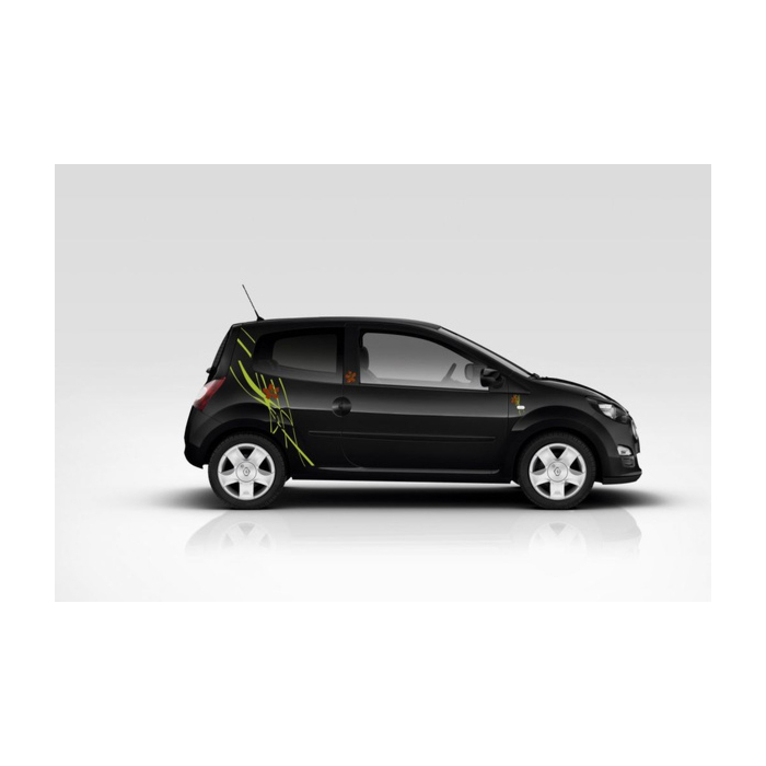 Renault Twingo 2007 - 2014 decoration big poppy
