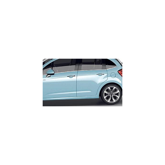 Citroën C3 (2002 - 2010) chromen handgrepen