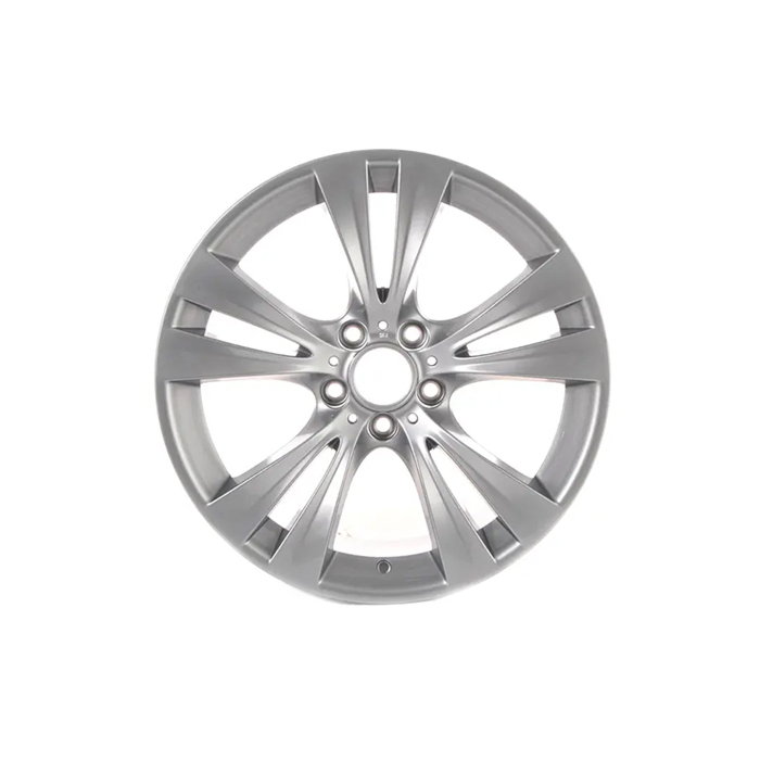 BMW wheel 19" Double Spoke Style 309