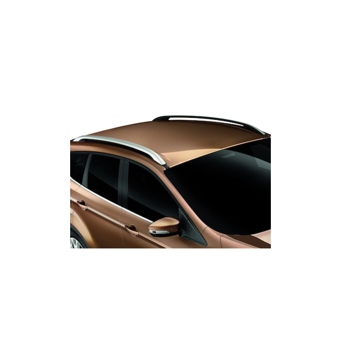 Ford Kuga (11/2012 - 11/2019) dakrails zilver