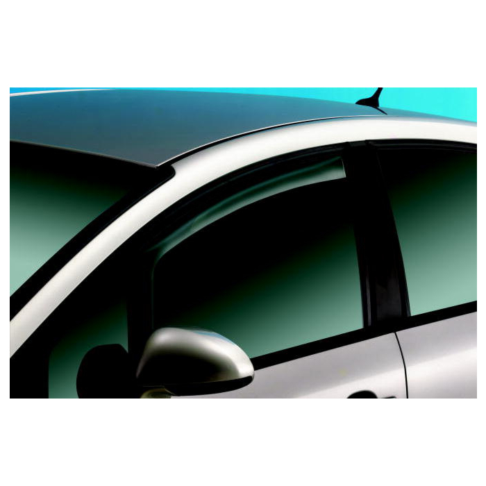Citroën C4 (2004 - 2010) windgeleiders