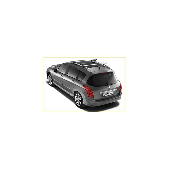 Peugeot 307 SW / 308 SW dakdragers