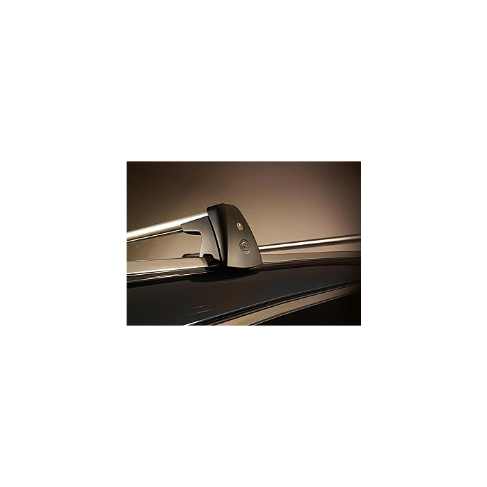 Opel Insignia A Sports Tourer dakdragers aluminium