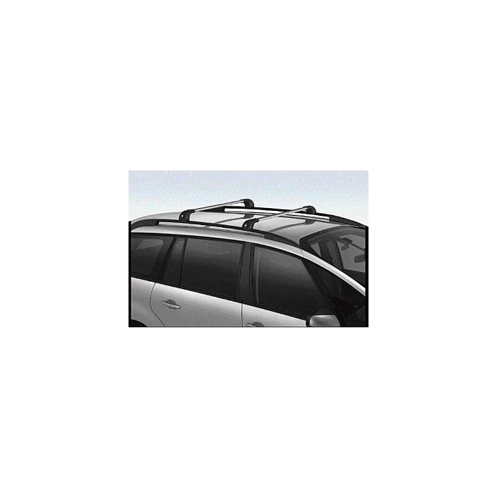 Citroën C4 Grand Picasso (2006 - 2013) dakdragers aluminium