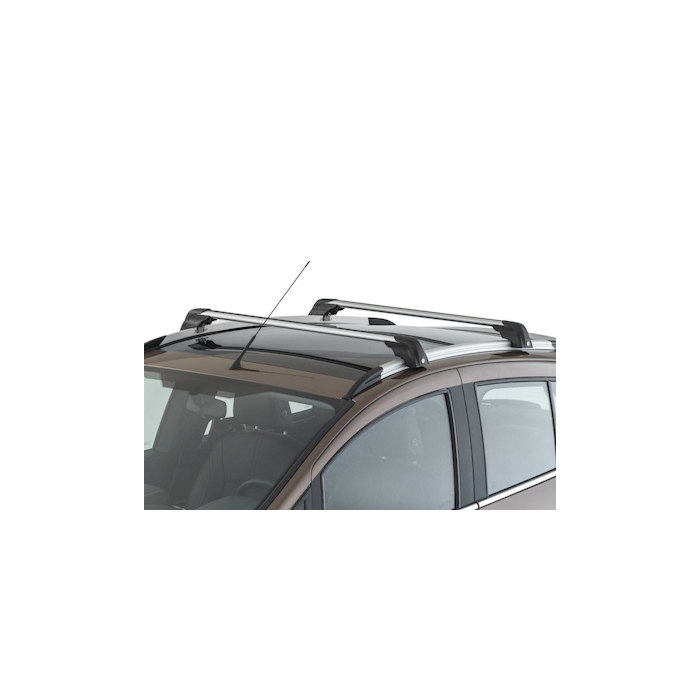 Ford B-MAX (2012 - 2018) dakdragers zilver/zwart
