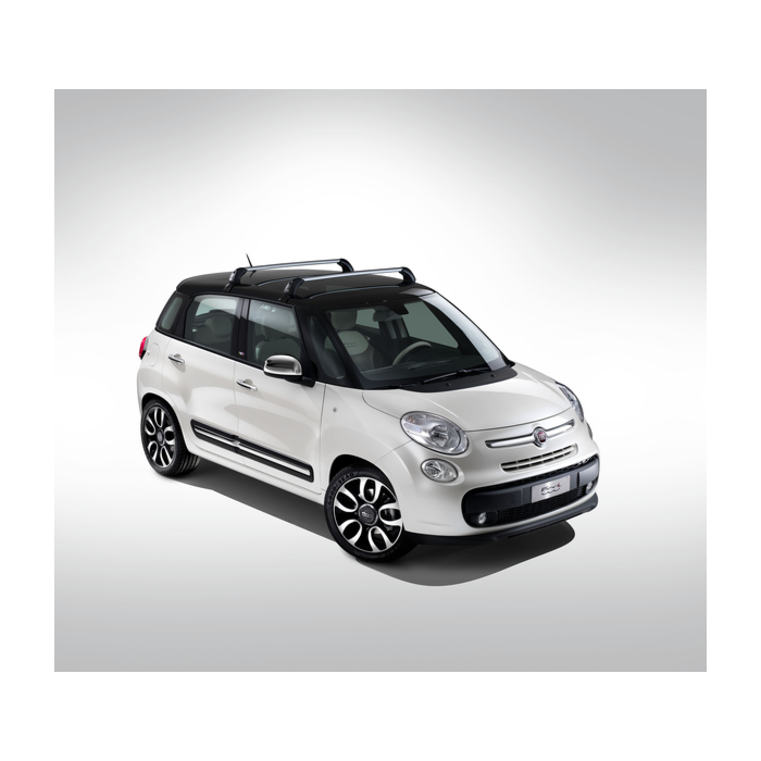 Fiat 500L dakdragers