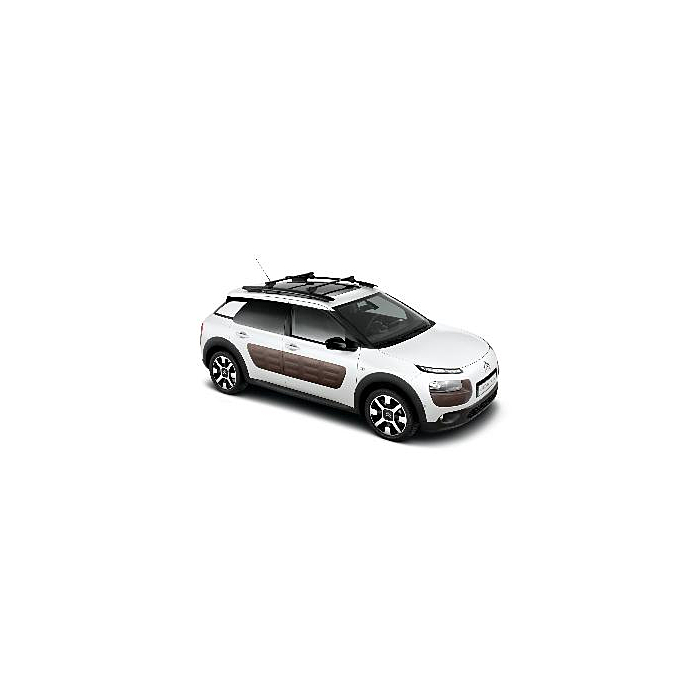 Citroën C4 Cactus dakdragers (voor modellen met dakreling)