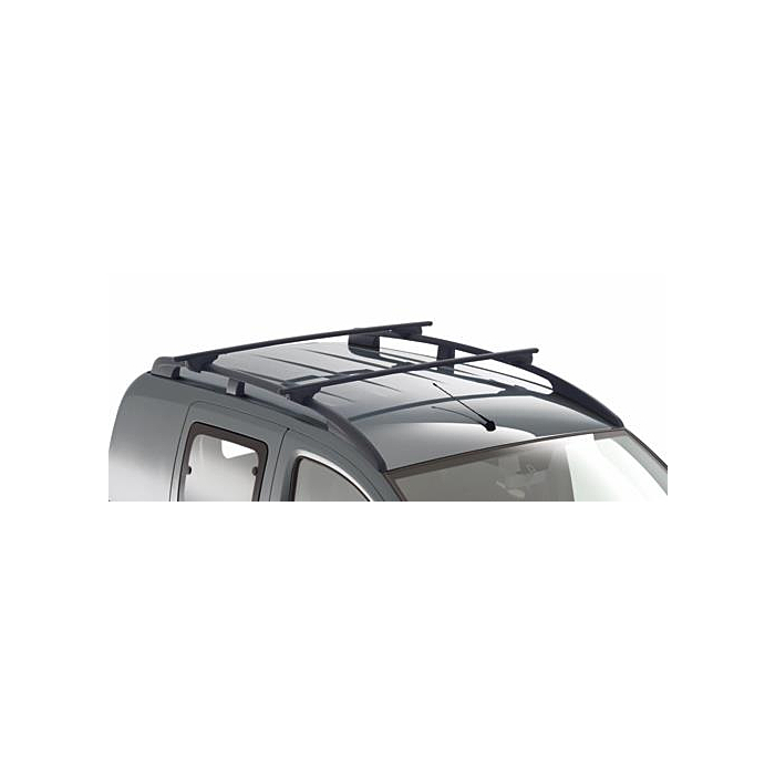 Citroën Nemo dakdragers