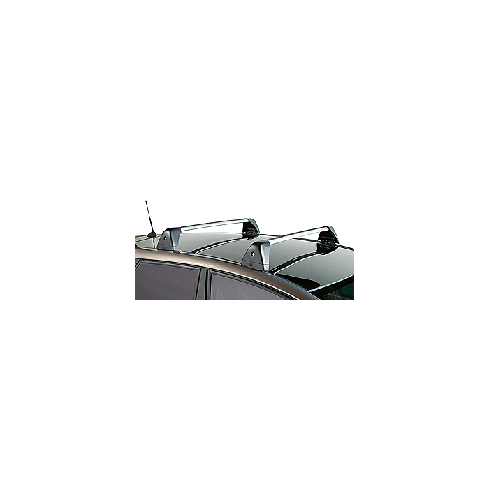 Opel Meriva B dakdragers aluminium