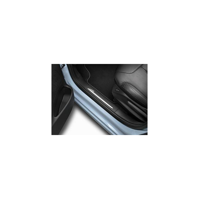 Citroën C3 (2010 - 2016) instaplijsten