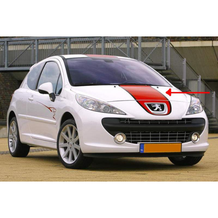 Peugeot 207 Le Mans striping motorkap