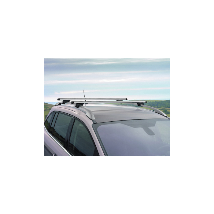 Ford Grand C-MAX (11/2010 - 09/2018) dakdragers
