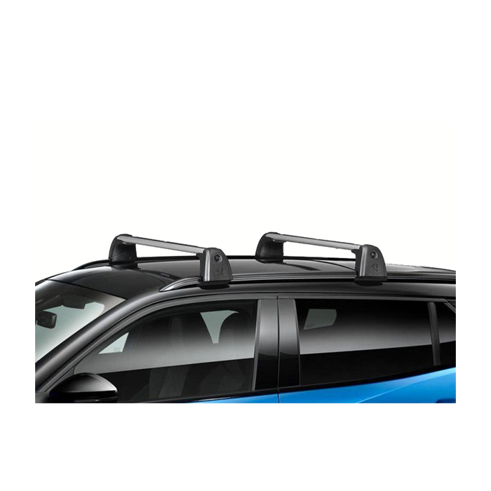 Peugeot 2008 (2019 - ..) dakdragers
