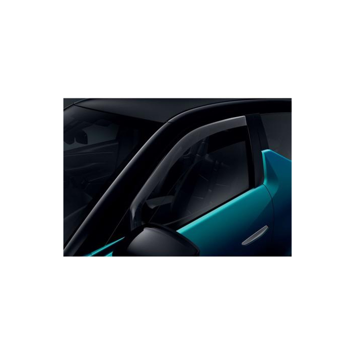 DS3 Crossback windgeleiders