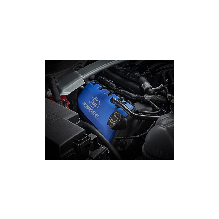 Ford Mustang GT (03/2015 - 10/2017) Performance schroefset met Ford Performance logo
