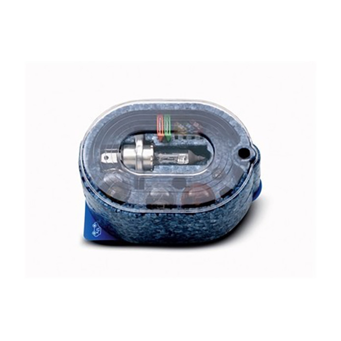 Citroën reserve lampen set