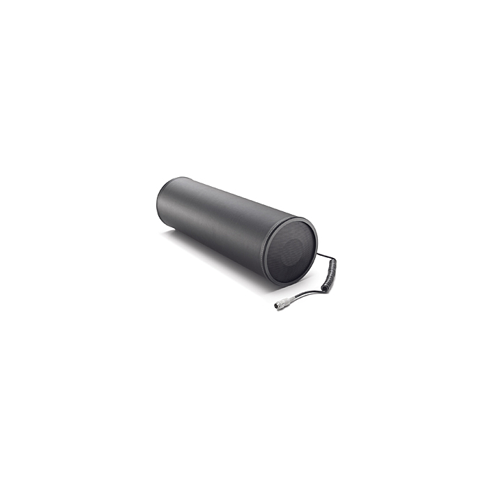 Citroën subwoofer