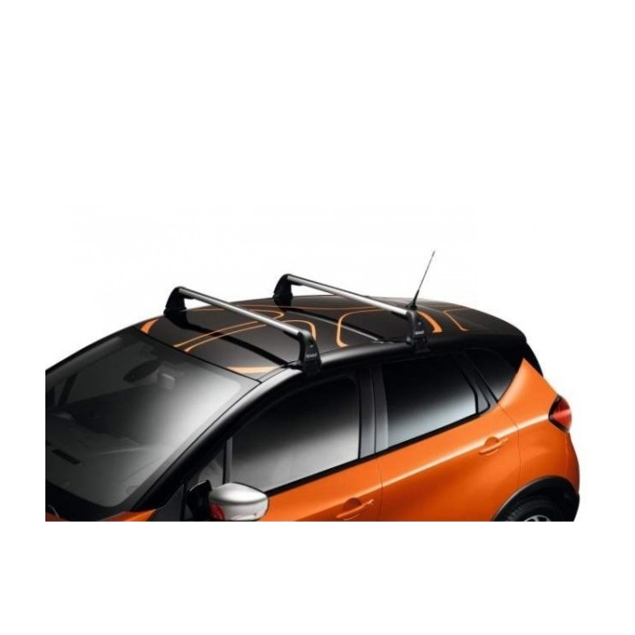 Renault Captur 2020 - .. dakdragers