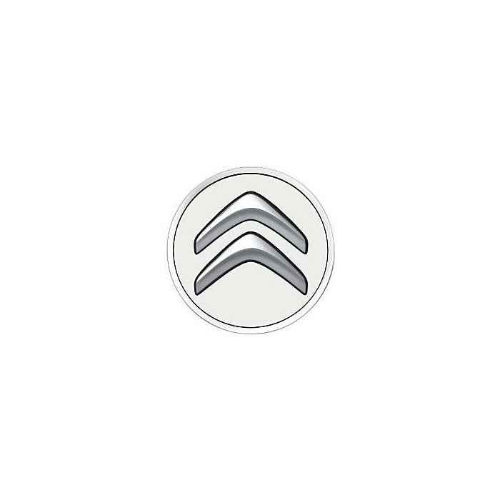 Citroën naafkappenset Blanc Banquise