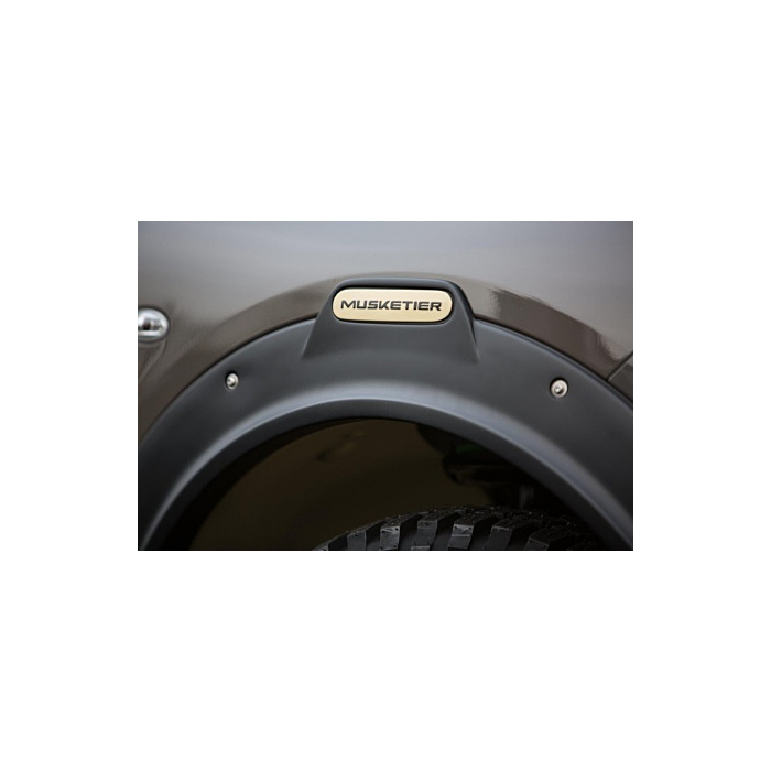 Musketier Citroën C4 Cactus emblemen voor wielkastverbreders 4 stuks gelakt