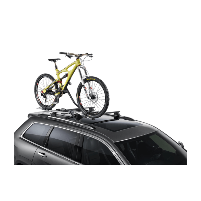 Lancia Thema upright fietsendrager