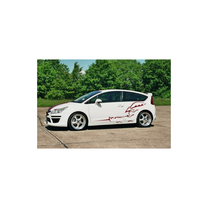 Musketier Citroën DS3 decor sticker