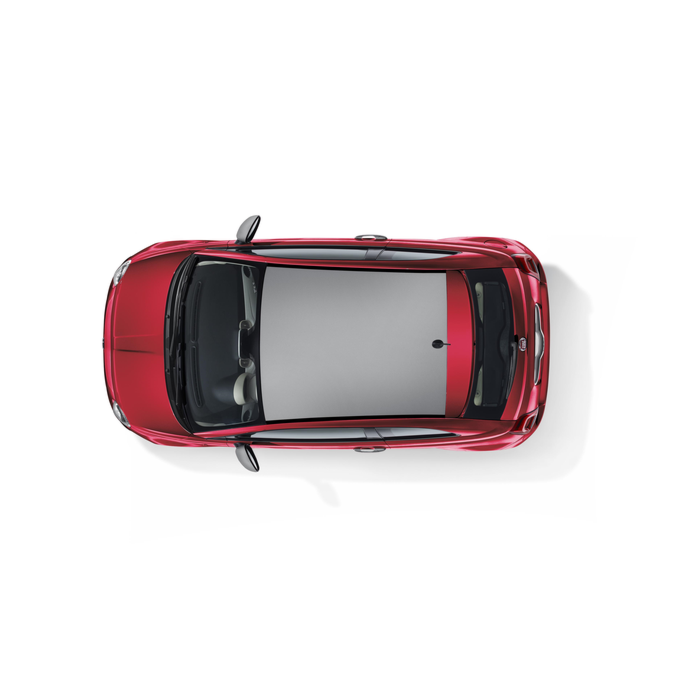 Fiat 500 wrapping voor dak matzilver