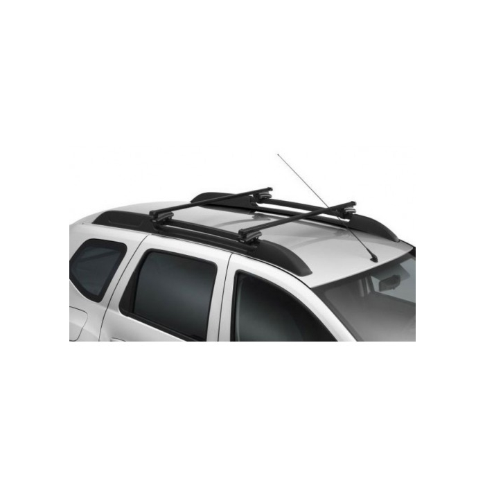 Dacia Duster 2010 - 2014 dakdragers