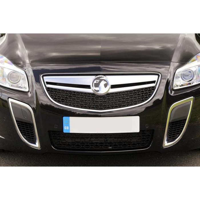 Vauxhall Insignia VXR grille (2008 - 2013) (met adaptieve cruise control) Vauxhall Insignia VXR grille (2008 - 2013) (met adaptieve cruise control)