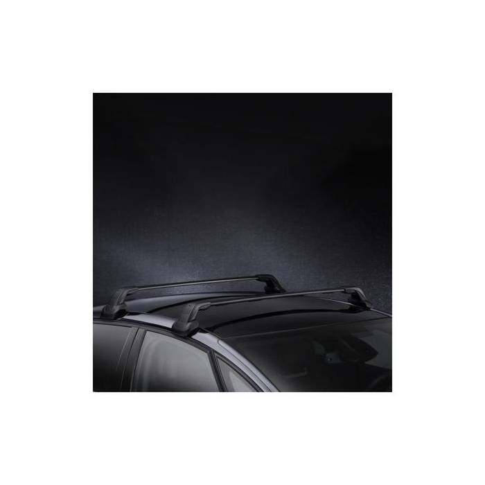 Citroen DS5 (2011 - 2018) dakdragers
