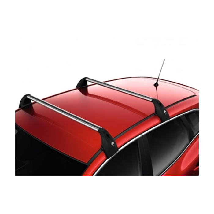 Renault Kadjar dakdragers op de langsdragers