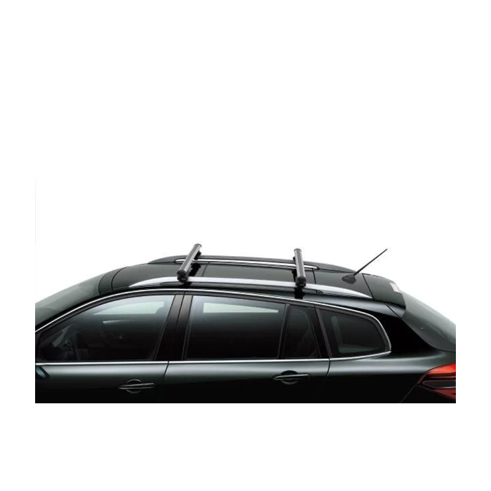 Renault Clio Estate 2005 - 2012 / Laguna 2007 - 2015 dakdragers staal