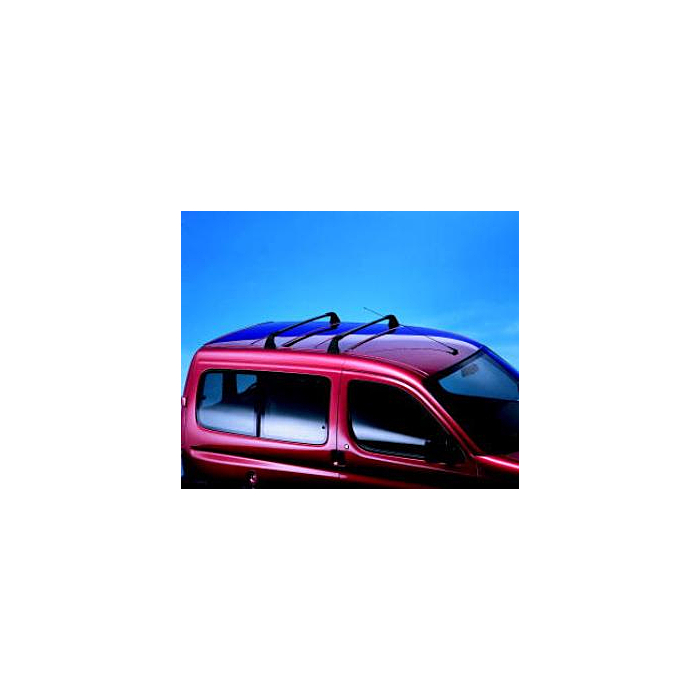 Peugeot Partner (2002 - 2008) dakdragers (lange versie) (zonder dakrails)