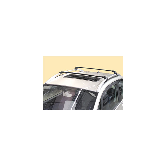 Peugeot 1007 dakdragers model met dakreling