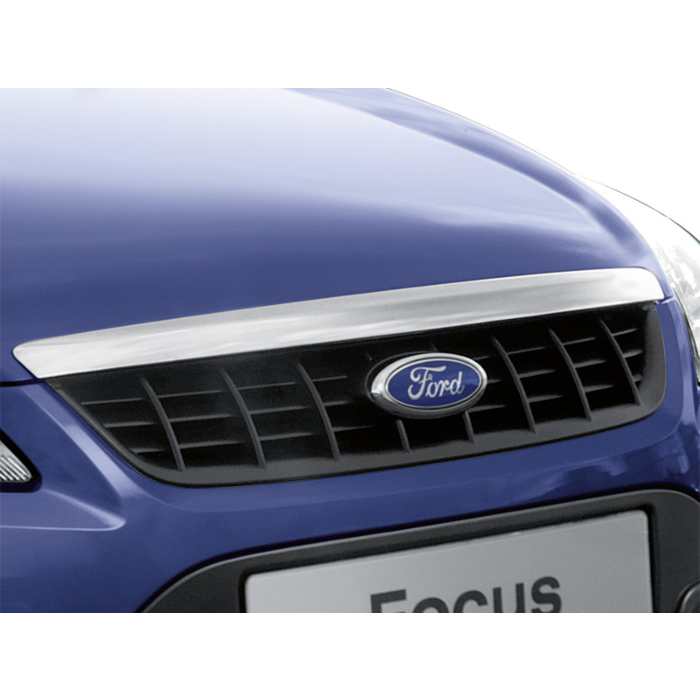 Ford Focus (01/2008 - 12/2010) grille
