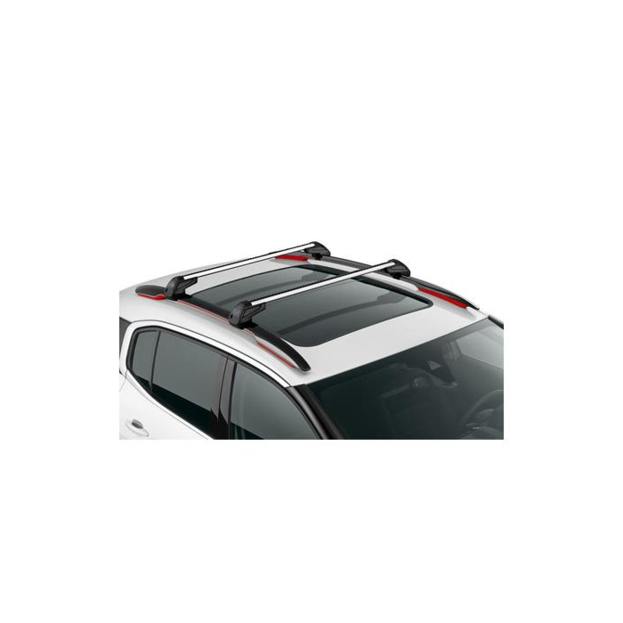 Citroen C5 Aircross (2018 - 2025) dakdragers (met dakreling)